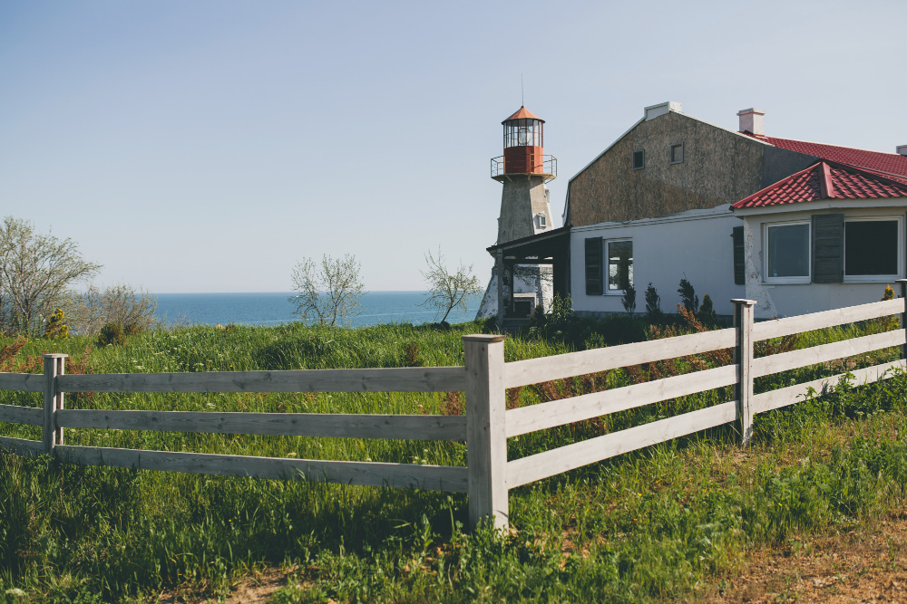 A Comprehensive Guide in Building Fences for Farm Animals