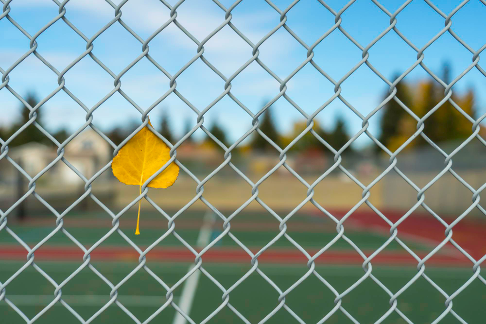 Reasons to Choose Chain Link Fences