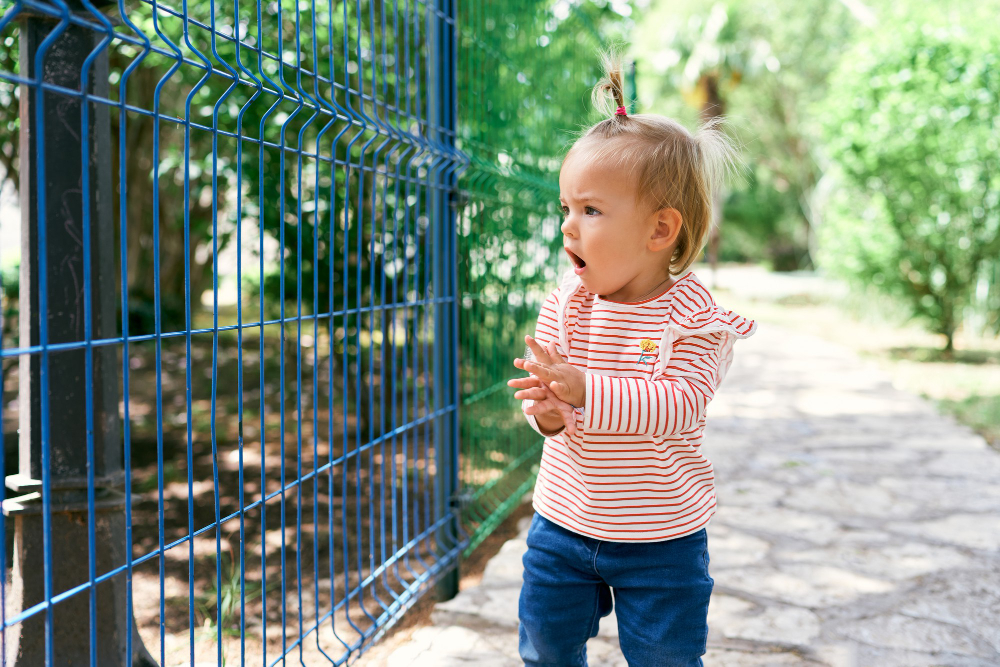 Everything You Need to Know About Child Safety Fencing