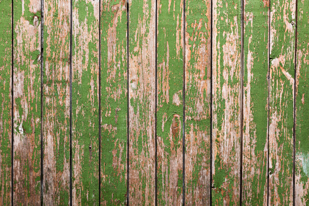 Why Does Your Wood Fence Turn Green? Causes, Solutions, and Prevention