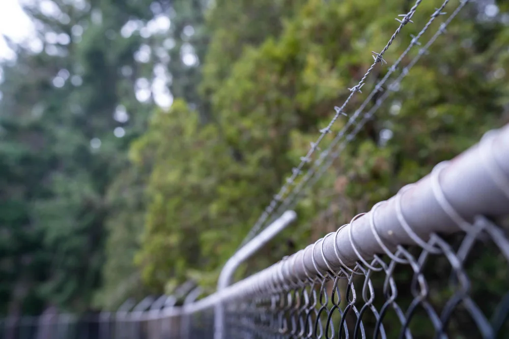 The Ultimate Guide to Anti-Climb Measures for Fences