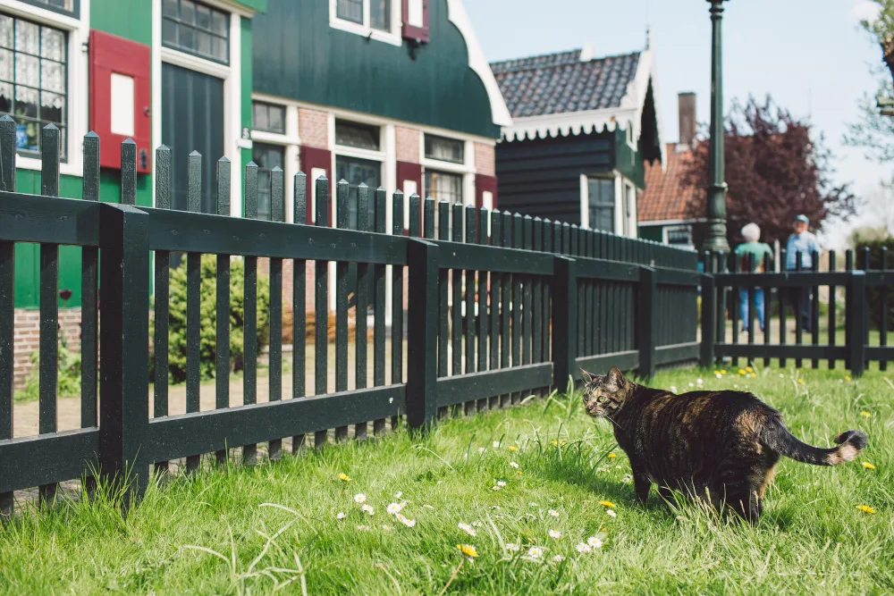 Best Materials for a Residential Fence