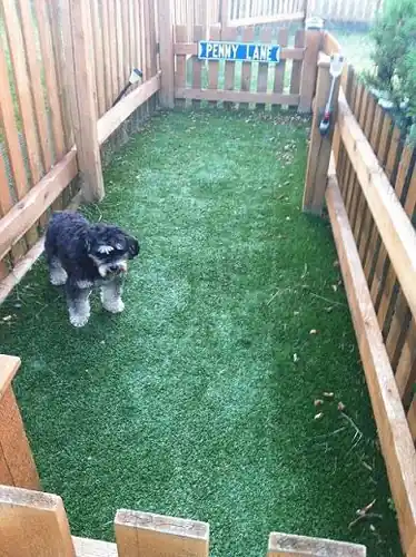 Dog Run Fence installed by Wulff Fence in Orlando